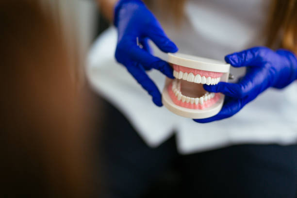 Trusted Gananda, NY Dental Services Experts